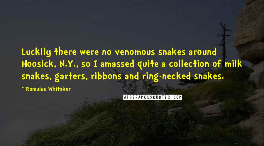 Romulus Whitaker Quotes: Luckily there were no venomous snakes around Hoosick, N.Y., so I amassed quite a collection of milk snakes, garters, ribbons and ring-necked snakes.