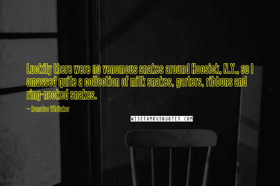 Romulus Whitaker Quotes: Luckily there were no venomous snakes around Hoosick, N.Y., so I amassed quite a collection of milk snakes, garters, ribbons and ring-necked snakes.