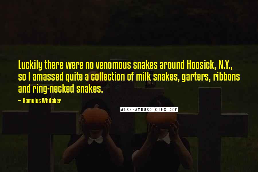 Romulus Whitaker Quotes: Luckily there were no venomous snakes around Hoosick, N.Y., so I amassed quite a collection of milk snakes, garters, ribbons and ring-necked snakes.