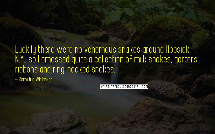 Romulus Whitaker Quotes: Luckily there were no venomous snakes around Hoosick, N.Y., so I amassed quite a collection of milk snakes, garters, ribbons and ring-necked snakes.