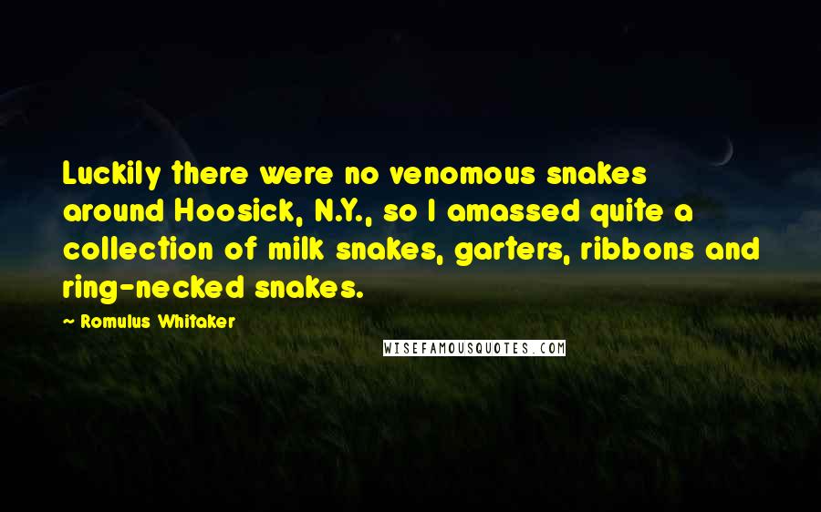 Romulus Whitaker Quotes: Luckily there were no venomous snakes around Hoosick, N.Y., so I amassed quite a collection of milk snakes, garters, ribbons and ring-necked snakes.