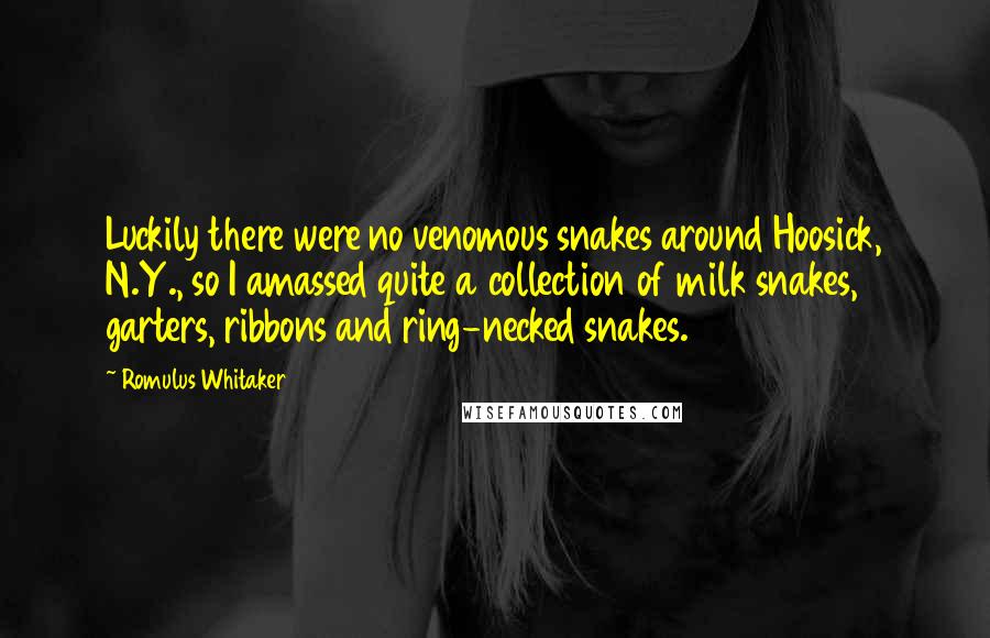 Romulus Whitaker Quotes: Luckily there were no venomous snakes around Hoosick, N.Y., so I amassed quite a collection of milk snakes, garters, ribbons and ring-necked snakes.