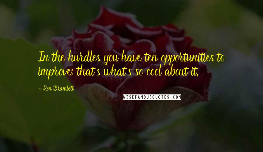 Ron Bramlett Quotes: In the hurdles you have ten opportunities to improve; that's what's so cool about it.