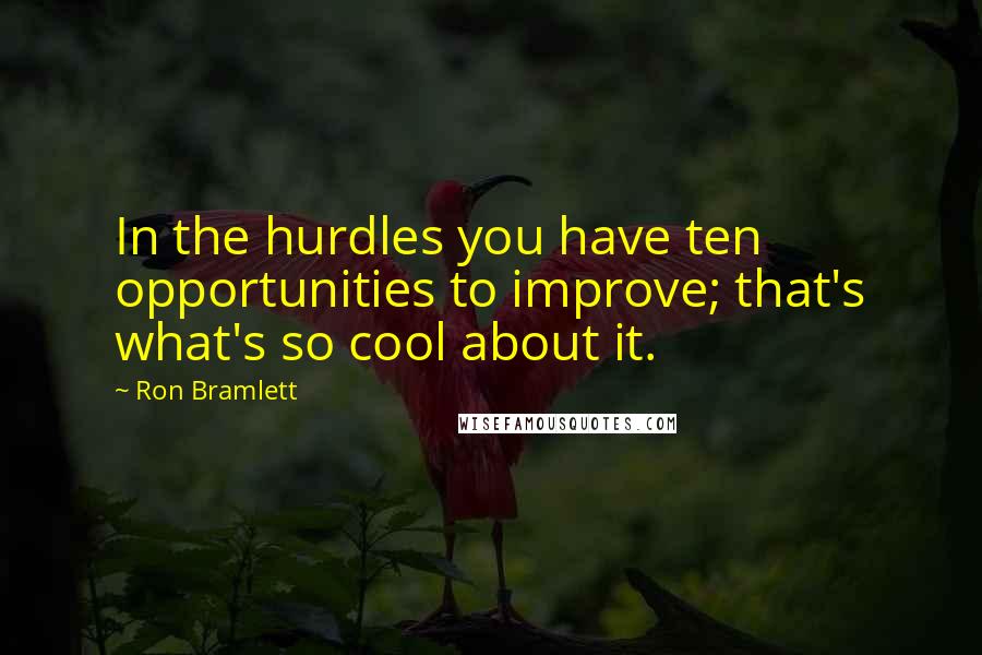 Ron Bramlett Quotes: In the hurdles you have ten opportunities to improve; that's what's so cool about it.