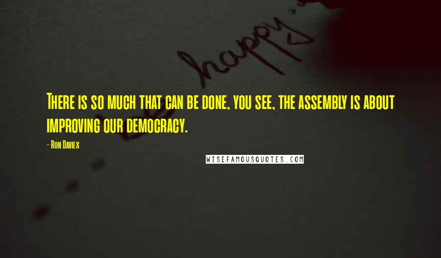 Ron Davies Quotes: There is so much that can be done, you see, the assembly is about improving our democracy.