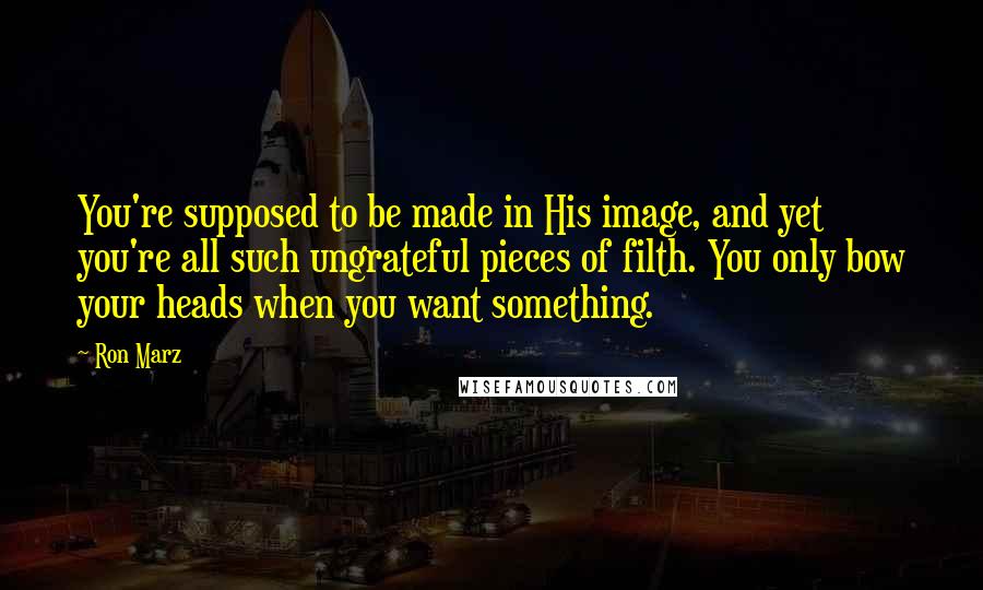 Ron Marz Quotes: You're supposed to be made in His image, and yet you're all such ungrateful pieces of filth. You only bow your heads when you want something.