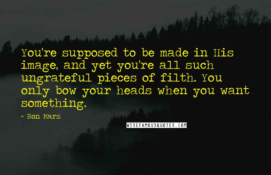 Ron Marz Quotes: You're supposed to be made in His image, and yet you're all such ungrateful pieces of filth. You only bow your heads when you want something.