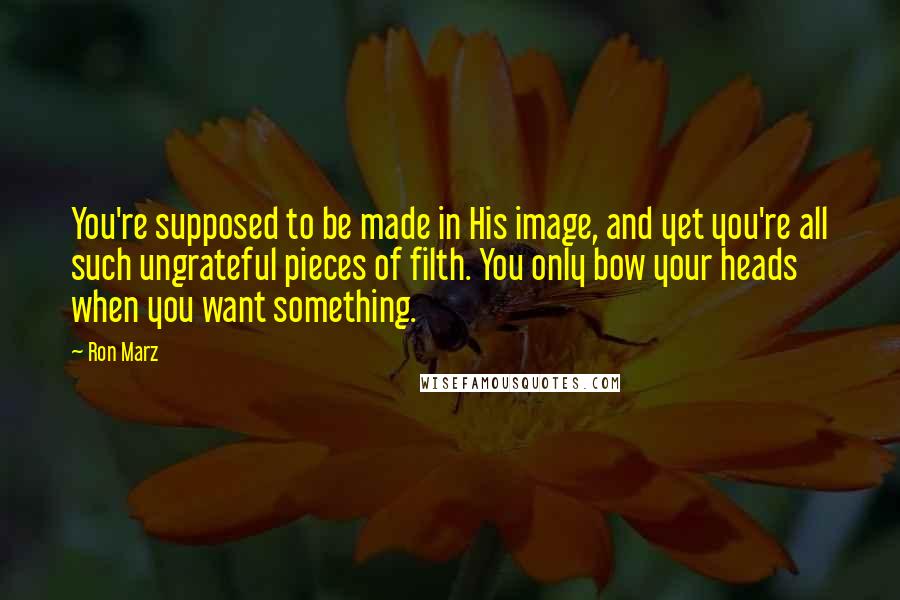 Ron Marz Quotes: You're supposed to be made in His image, and yet you're all such ungrateful pieces of filth. You only bow your heads when you want something.