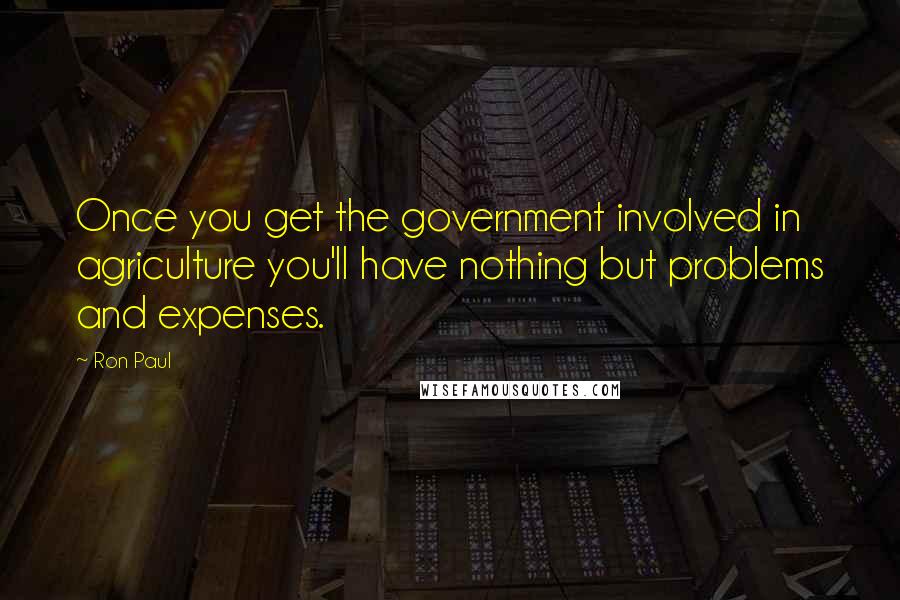 Ron Paul Quotes: Once you get the government involved in agriculture you'll have nothing but problems and expenses.