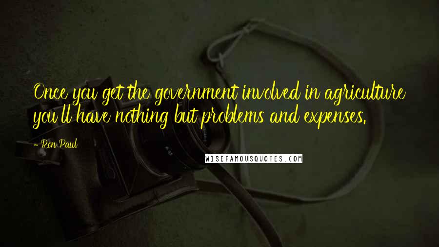 Ron Paul Quotes: Once you get the government involved in agriculture you'll have nothing but problems and expenses.