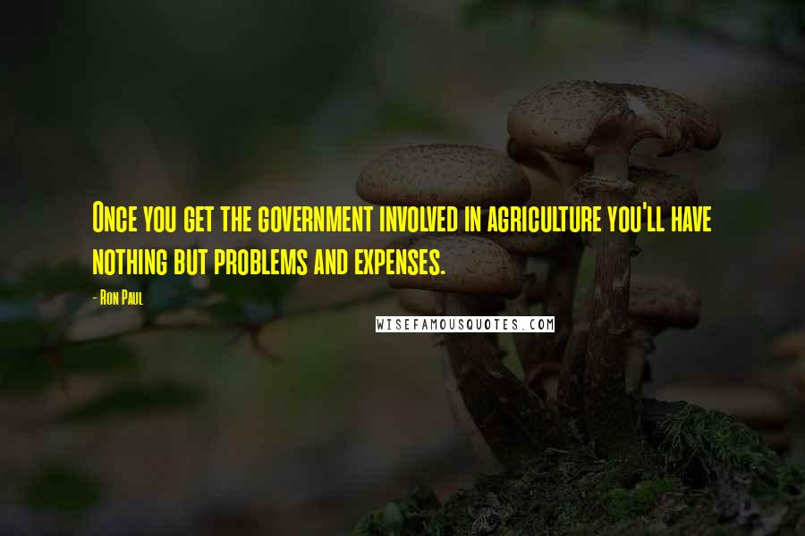 Ron Paul Quotes: Once you get the government involved in agriculture you'll have nothing but problems and expenses.