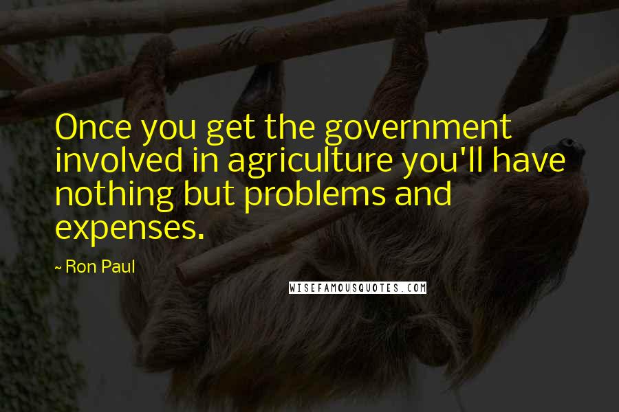 Ron Paul Quotes: Once you get the government involved in agriculture you'll have nothing but problems and expenses.