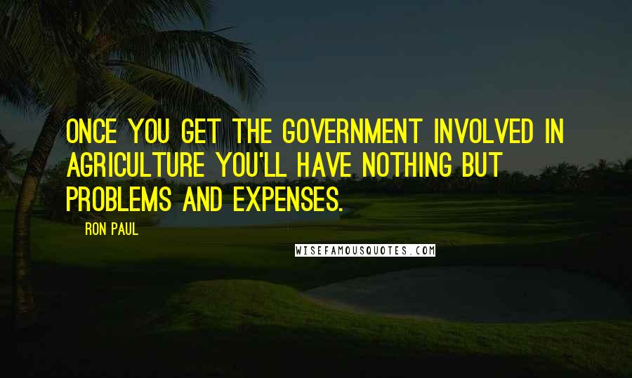 Ron Paul Quotes: Once you get the government involved in agriculture you'll have nothing but problems and expenses.