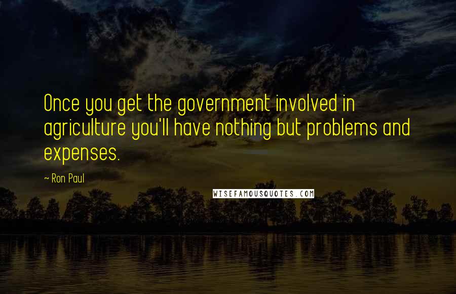 Ron Paul Quotes: Once you get the government involved in agriculture you'll have nothing but problems and expenses.