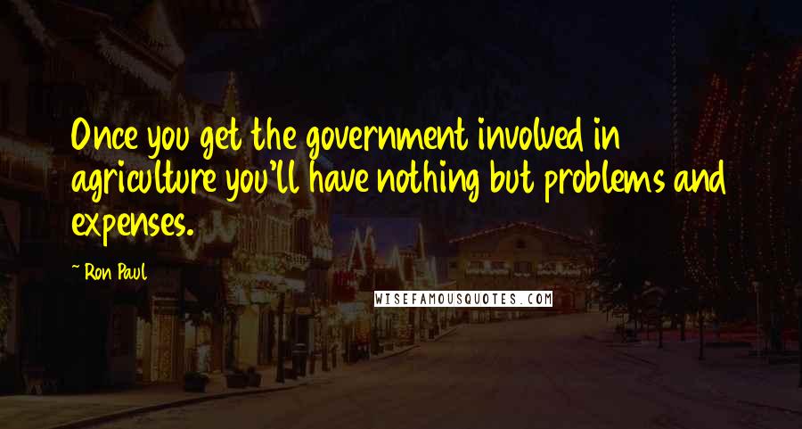 Ron Paul Quotes: Once you get the government involved in agriculture you'll have nothing but problems and expenses.