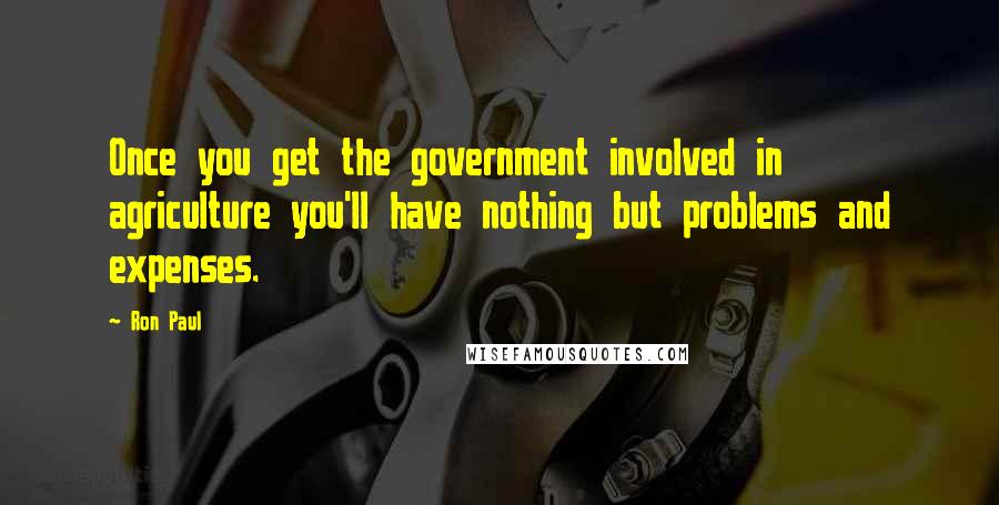 Ron Paul Quotes: Once you get the government involved in agriculture you'll have nothing but problems and expenses.