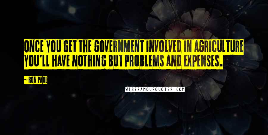 Ron Paul Quotes: Once you get the government involved in agriculture you'll have nothing but problems and expenses.