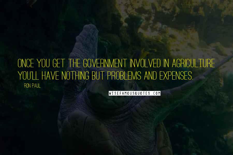 Ron Paul Quotes: Once you get the government involved in agriculture you'll have nothing but problems and expenses.