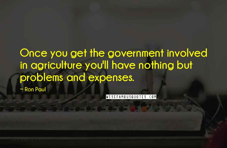 Ron Paul Quotes: Once you get the government involved in agriculture you'll have nothing but problems and expenses.