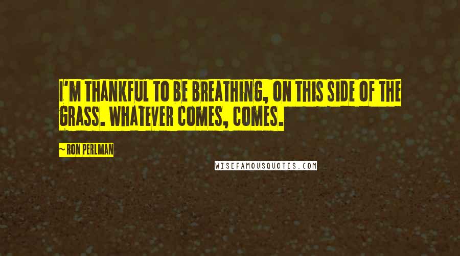Ron Perlman Quotes: I'm thankful to be breathing, on this side of the grass. Whatever comes, comes.