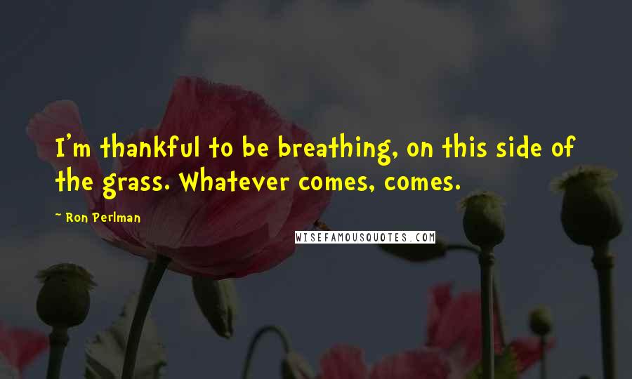 Ron Perlman Quotes: I'm thankful to be breathing, on this side of the grass. Whatever comes, comes.