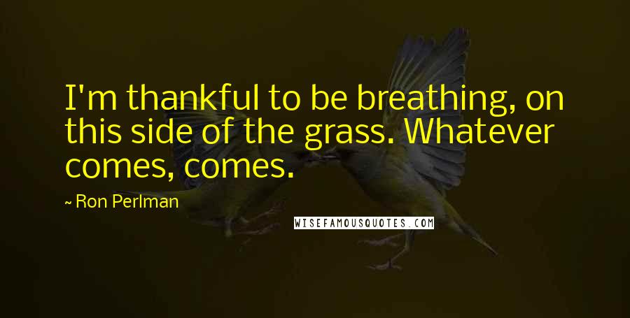 Ron Perlman Quotes: I'm thankful to be breathing, on this side of the grass. Whatever comes, comes.