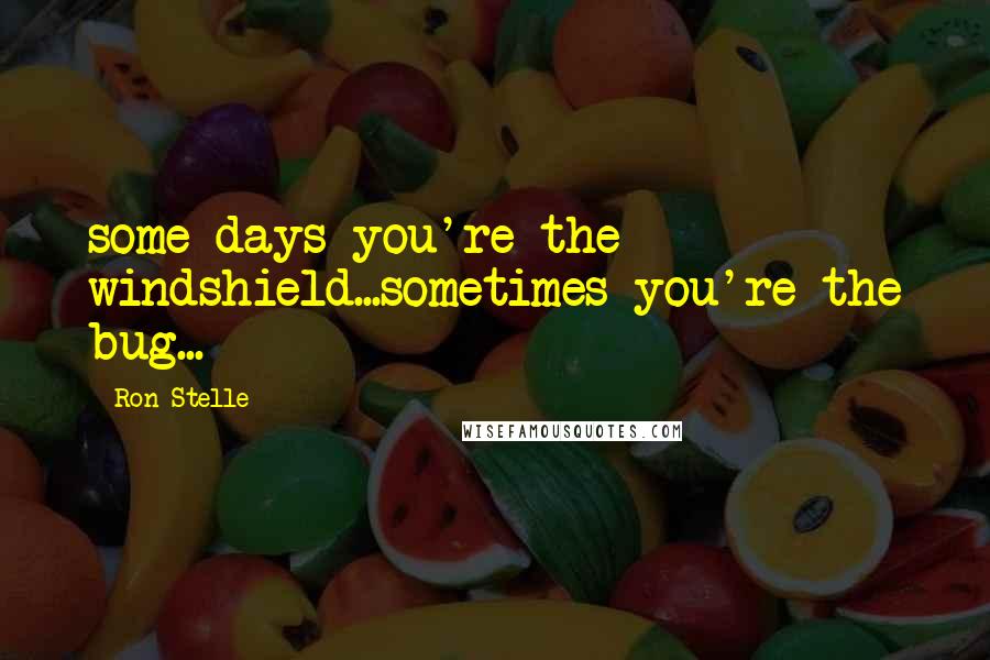 Ron Stelle Quotes: some days you're the windshield...sometimes you're the bug...