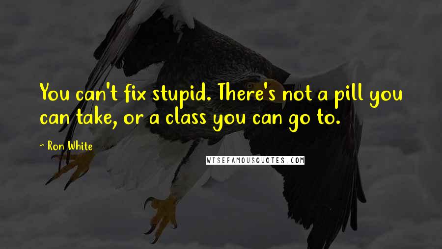 Ron White Quotes: You can't fix stupid. There's not a pill you can take, or a class you can go to.