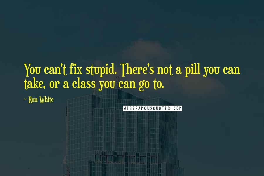 Ron White Quotes: You can't fix stupid. There's not a pill you can take, or a class you can go to.