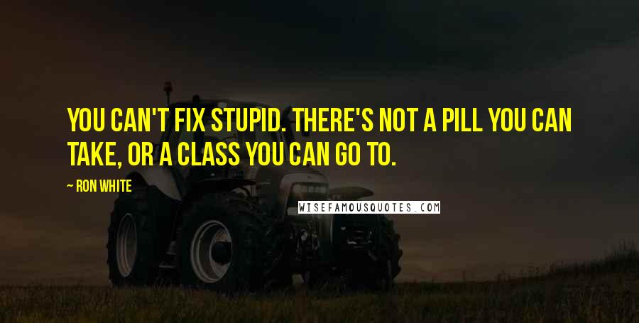 Ron White Quotes: You can't fix stupid. There's not a pill you can take, or a class you can go to.
