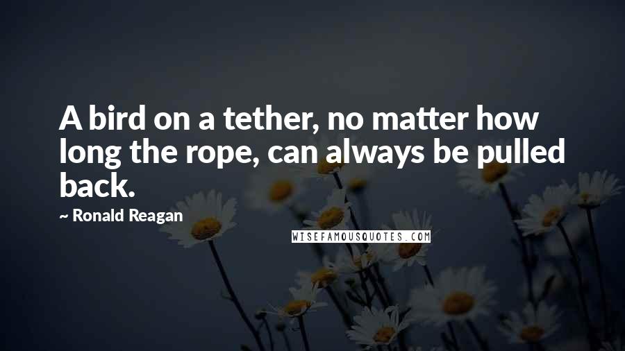 Ronald Reagan Quotes: A bird on a tether, no matter how long the rope, can always be pulled back.