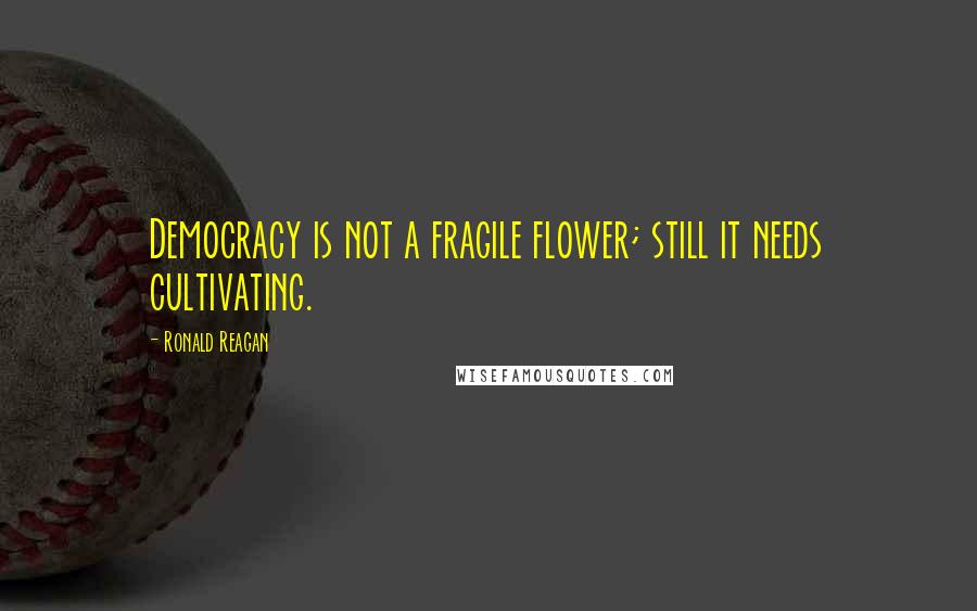 Ronald Reagan Quotes: Democracy is not a fragile flower; still it needs cultivating.