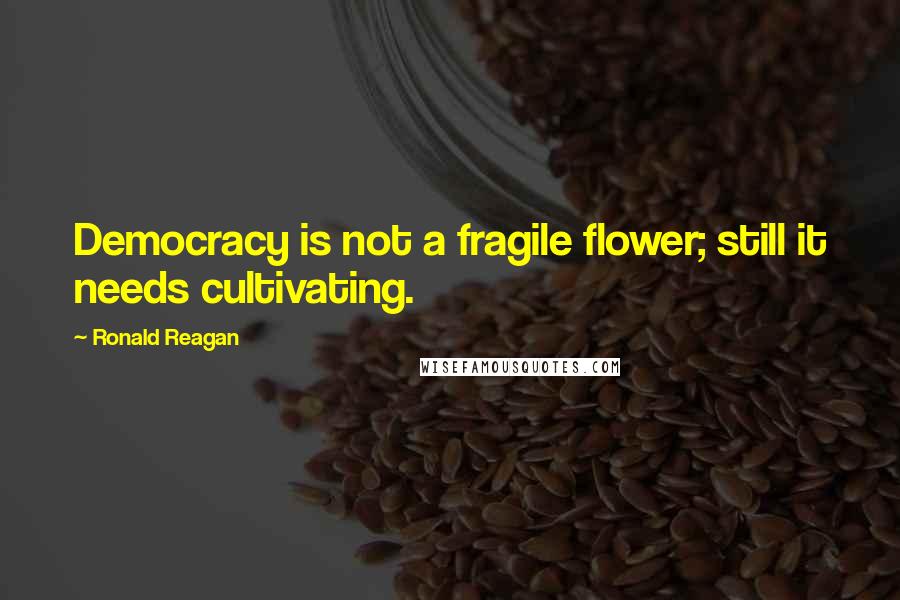Ronald Reagan Quotes: Democracy is not a fragile flower; still it needs cultivating.