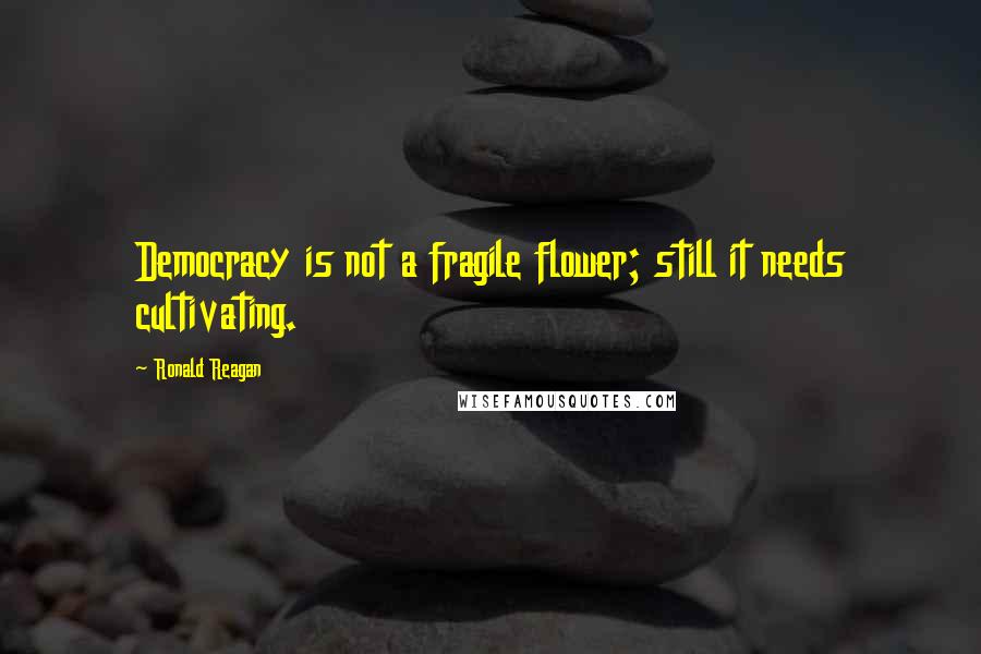 Ronald Reagan Quotes: Democracy is not a fragile flower; still it needs cultivating.