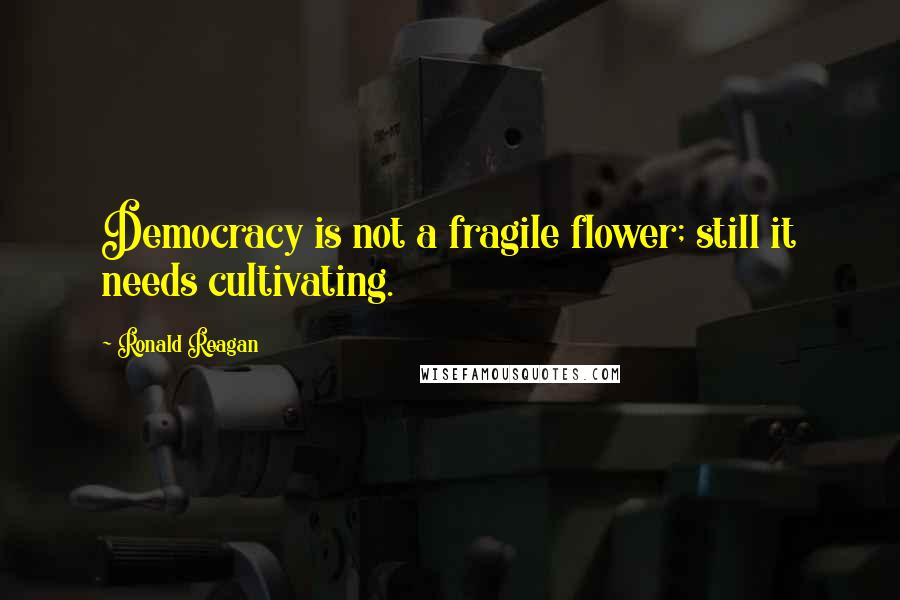 Ronald Reagan Quotes: Democracy is not a fragile flower; still it needs cultivating.