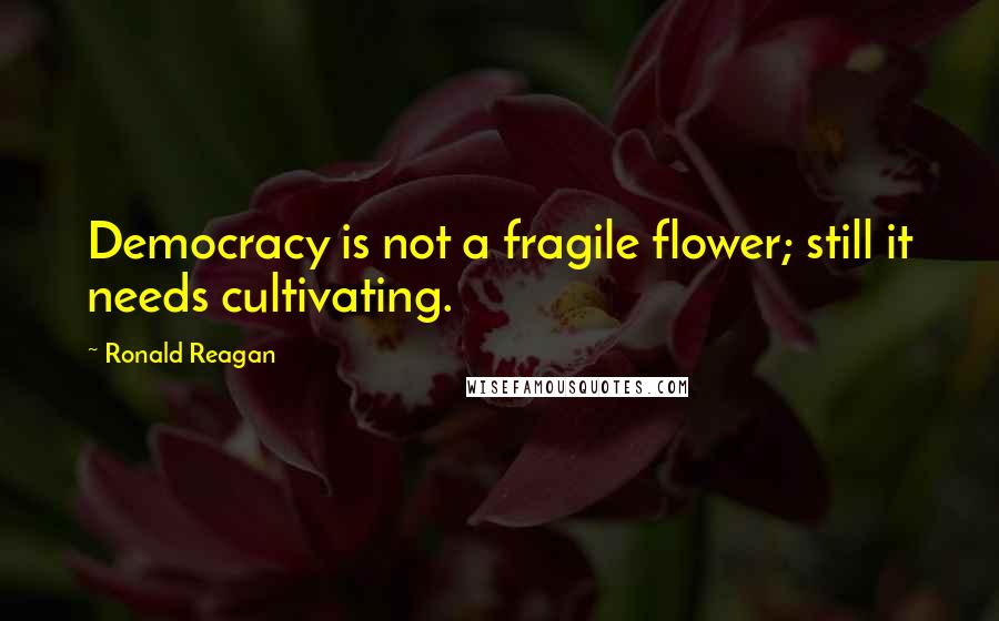 Ronald Reagan Quotes: Democracy is not a fragile flower; still it needs cultivating.