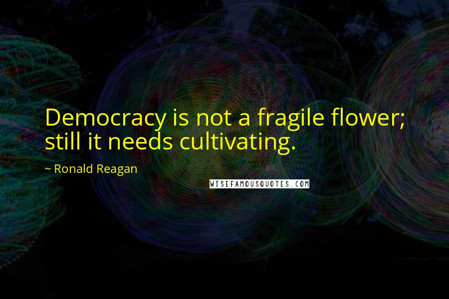 Ronald Reagan Quotes: Democracy is not a fragile flower; still it needs cultivating.