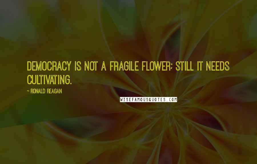 Ronald Reagan Quotes: Democracy is not a fragile flower; still it needs cultivating.