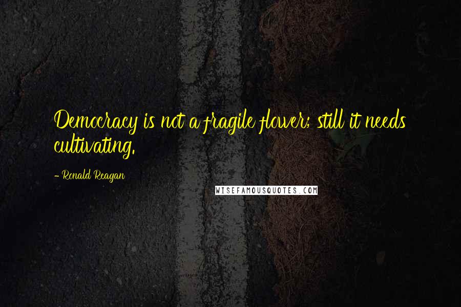 Ronald Reagan Quotes: Democracy is not a fragile flower; still it needs cultivating.