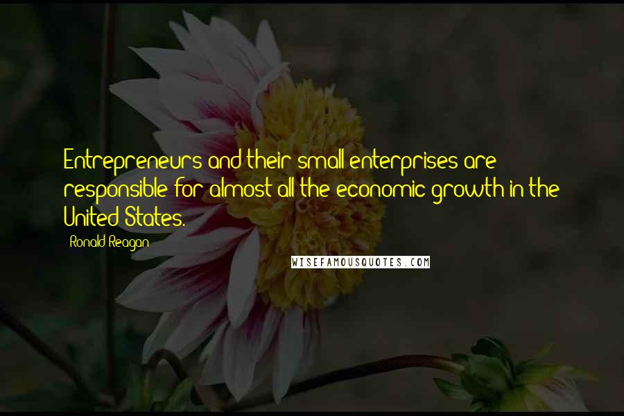 Ronald Reagan Quotes: Entrepreneurs and their small enterprises are responsible for almost all the economic growth in the United States.