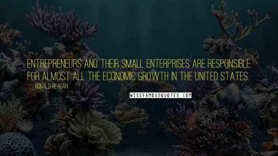 Ronald Reagan Quotes: Entrepreneurs and their small enterprises are responsible for almost all the economic growth in the United States.