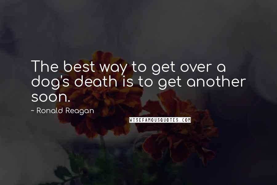 Ronald Reagan Quotes: The best way to get over a dog's death is to get another soon.