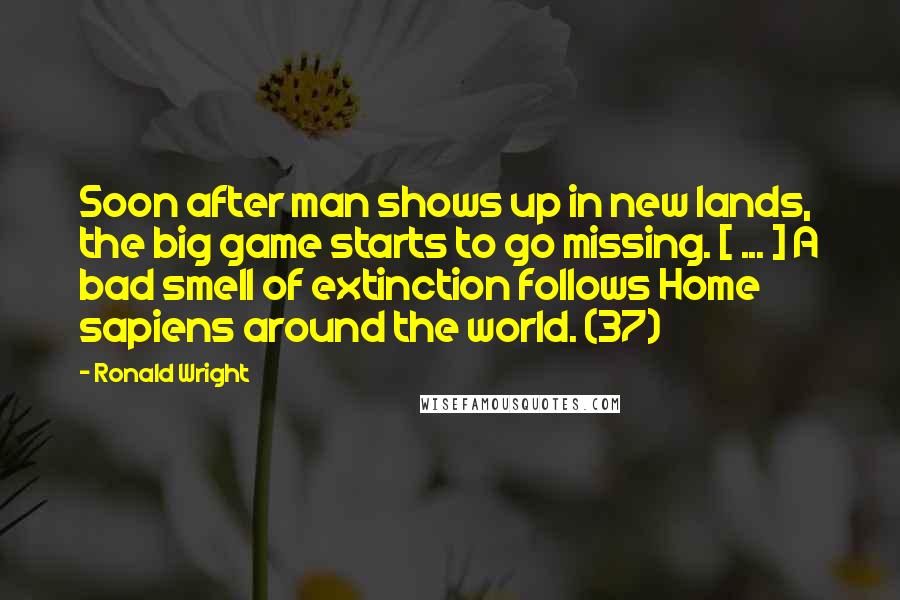 Ronald Wright Quotes: Soon after man shows up in new lands, the big game starts to go missing. [ ... ] A bad smell of extinction follows Home sapiens around the world. (37)