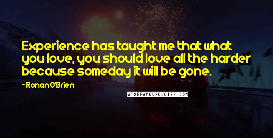 Ronan O'Brien Quotes: Experience has taught me that what you love, you should love all the harder because someday it will be gone.