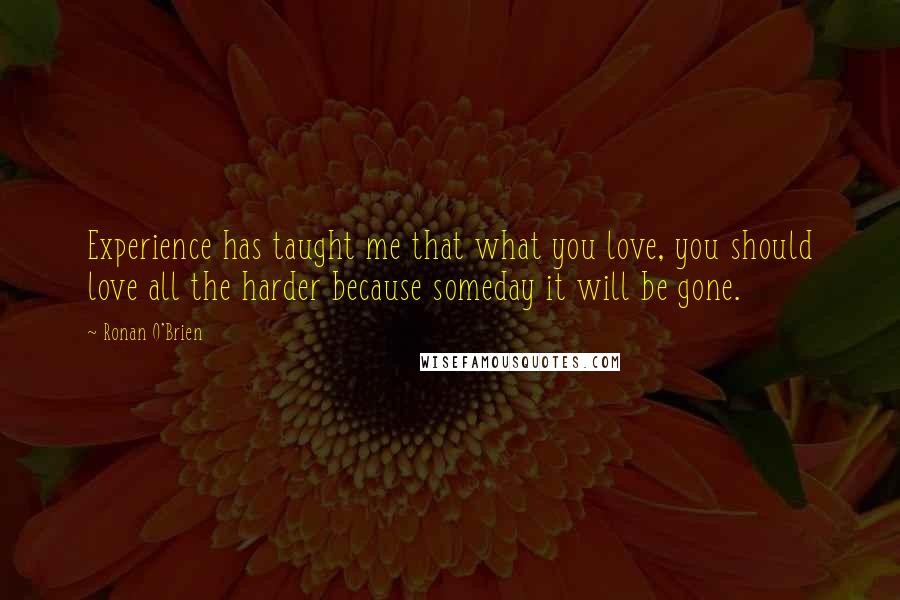 Ronan O'Brien Quotes: Experience has taught me that what you love, you should love all the harder because someday it will be gone.