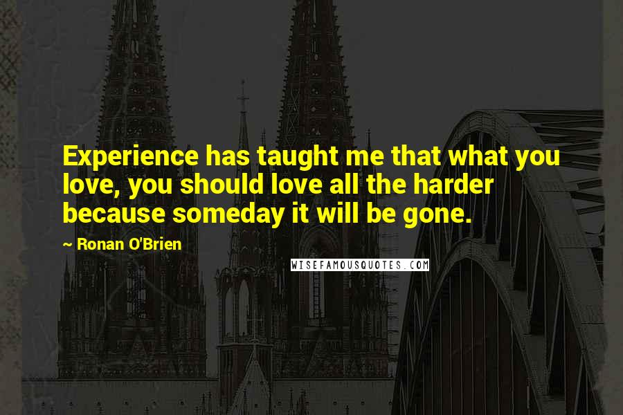 Ronan O'Brien Quotes: Experience has taught me that what you love, you should love all the harder because someday it will be gone.