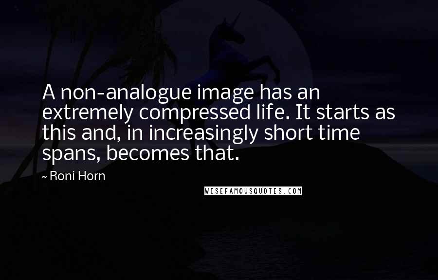 Roni Horn Quotes: A non-analogue image has an extremely compressed life. It starts as this and, in increasingly short time spans, becomes that.