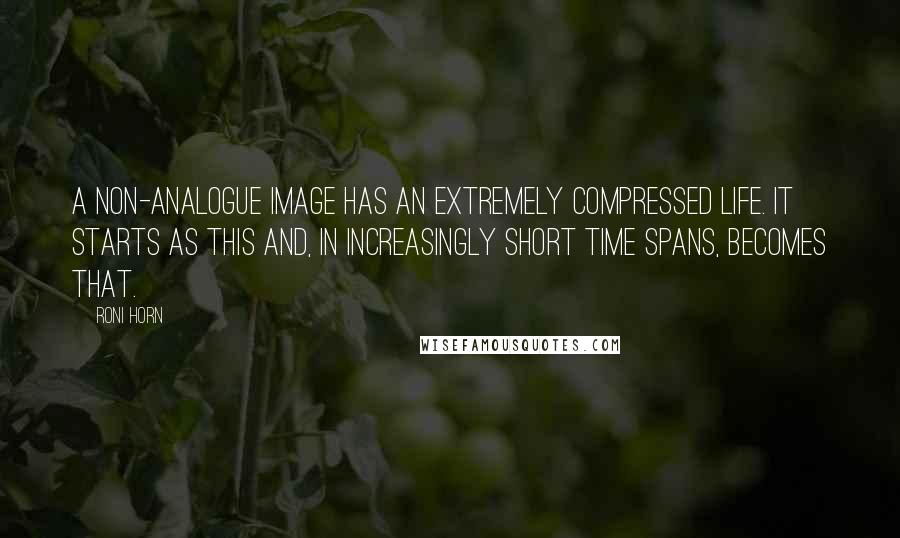 Roni Horn Quotes: A non-analogue image has an extremely compressed life. It starts as this and, in increasingly short time spans, becomes that.