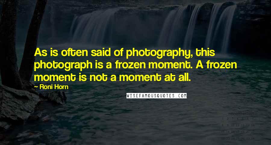 Roni Horn Quotes: As is often said of photography, this photograph is a frozen moment. A frozen moment is not a moment at all.
