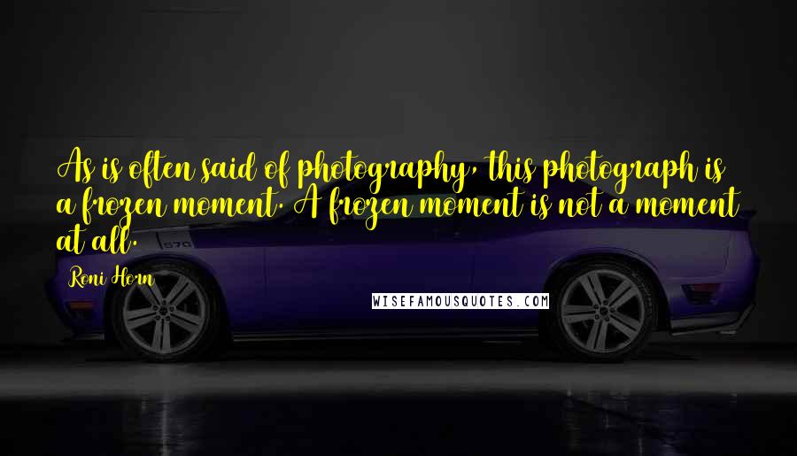 Roni Horn Quotes: As is often said of photography, this photograph is a frozen moment. A frozen moment is not a moment at all.